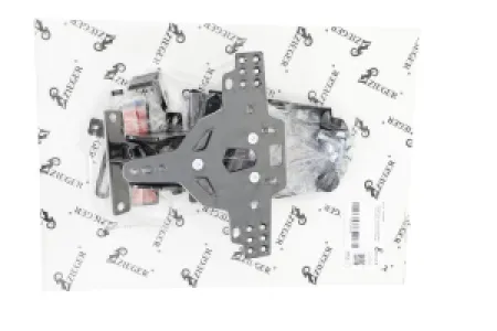 ZIEGER - LICENSE PLATE HOLDER PRO TYPE  - 20302398