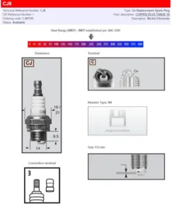 CHAMPION - CHAMPION S-PLUG CJ8 - 21030314