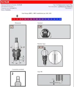 CHAMPION - CHAMPION S-PLUG RJ19LM - 21030319