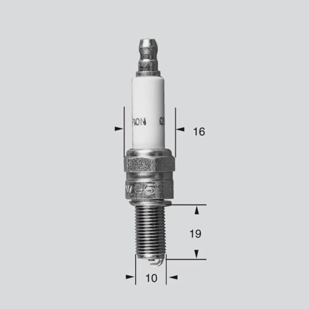 CHAMPION - CHAMPION S-PLG P-RG6HCC - 21030365