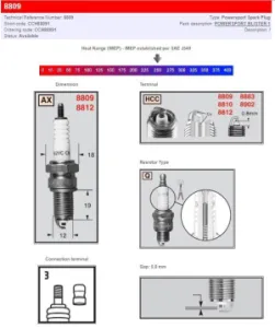 CHAMPION - CHAMPION S-PLUG 8809 - 21030434