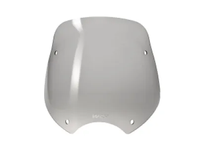 WRS - WINDSCREEN TOURING R1150R/R850 - 23120571