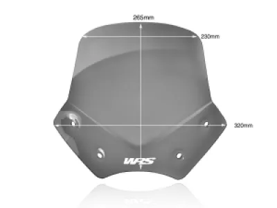 WRS - WINDSCREEN SPORT R1200R DARK S - 23120667