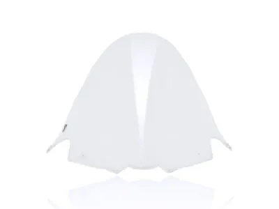 WRS - WINDSCREEN RACE ZX-10R CLEAR - 23120678