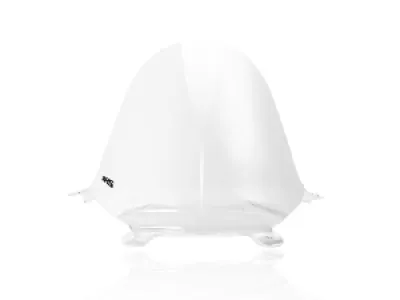 WRS - WINDSCREEN RACE PANIGALE V4/S  - 23120674