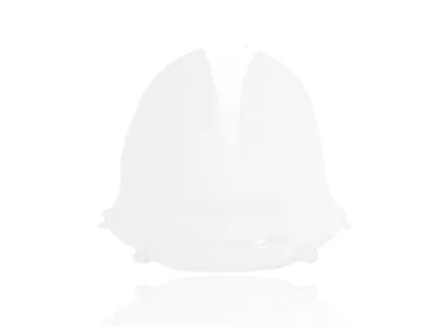 WRS - WINDSCREEN RACE PANIGALE 1299/ - 23120684