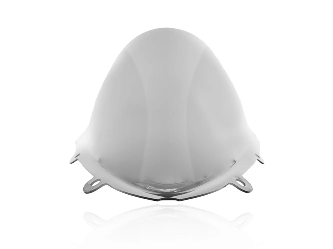 WRS - WINDSCREEN RACE RSV4 SMOKE - 23120704