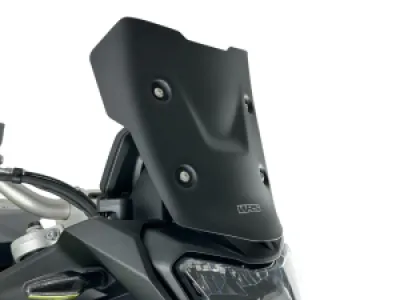 WRS - WINDSCREEN ENDURO F900GS MATT  - 23121205