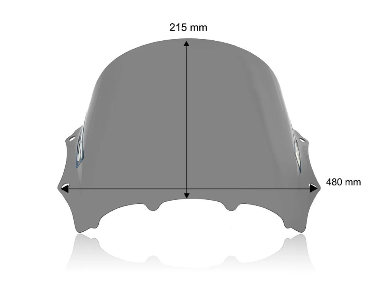 WRS - WINDSCREEN RACE M1000RR DARK S - 23121224
