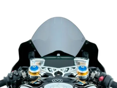 WRS - WINDSCREEN RACE DUC PANIGALE V - 23121264