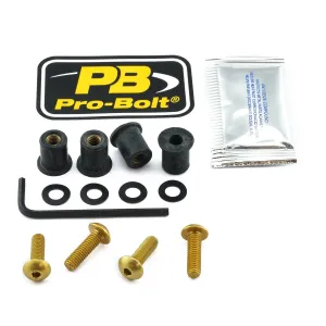 PRO BOLT - BOLT KIT SCREEN GOLD - 23210671