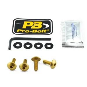 PRO BOLT - BOLT KIT SCREEN GOLD - 23210681