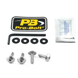 PRO BOLT - BOLT KIT SCREEN SILVER - 23210683