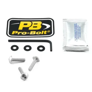 PRO BOLT - BOLT KIT SCREEN SILVER - 23210693
