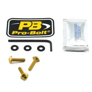 PRO BOLT - BOLT KIT SCREEN GOLD - 23210691