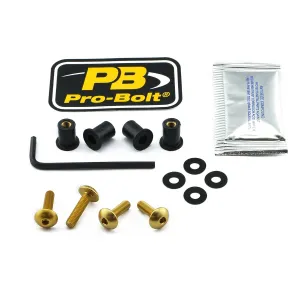 PRO BOLT - BOLT KIT SCREEN GOLD - 23210696