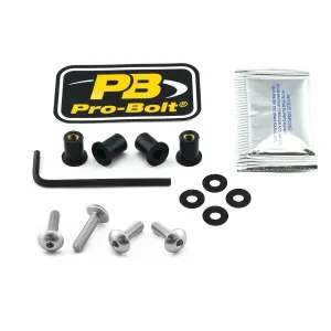 PRO BOLT - BOLT KIT SCREEN SILVER - 23210698