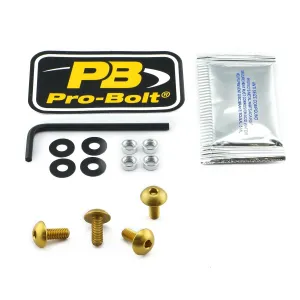 PRO BOLT - BOLT KIT SCREEN GOLD - 23210701