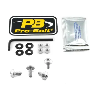 PRO BOLT - BOLT KIT SCREEN SILVER - 23210703