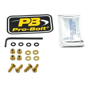 PRO BOLT - BOLT KIT SCREEN GOLD - 23210706
