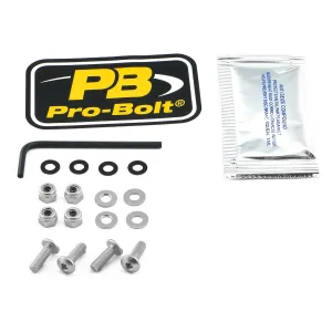 PRO BOLT - BOLT KIT SCREEN SILVER - 23210708