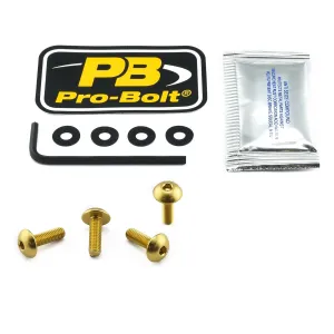 PRO BOLT - BOLT KIT SCREEN GOLD - 23210711