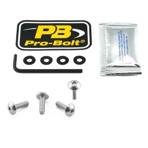 PRO BOLT - BOLT KIT SCREEN SILVER - 23210713