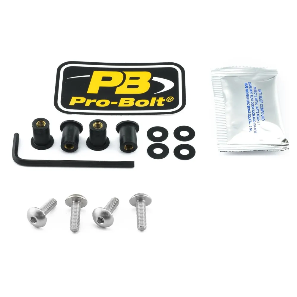 PRO BOLT - BOLT KIT SCREEN SILVER - 23210718