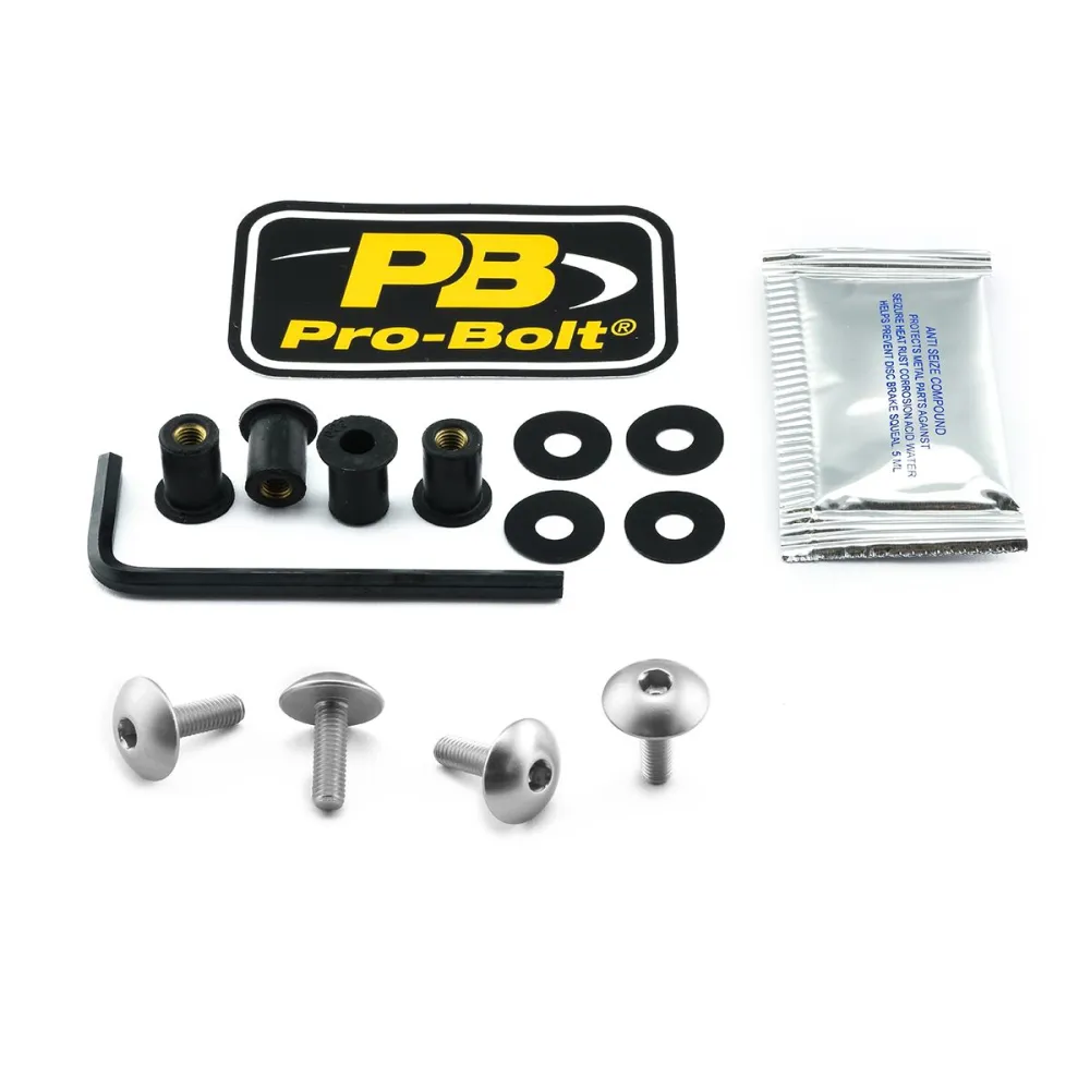 PRO BOLT - BOLT KIT SCREEN SILVER - 23210723