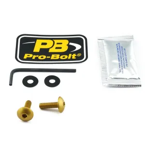 PRO BOLT - BOLT KIT SCREEN GOLD - 23210726