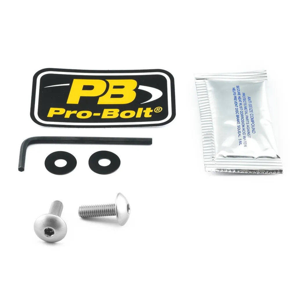 PRO BOLT - BOLT KIT SCREEN SILVER - 23210728