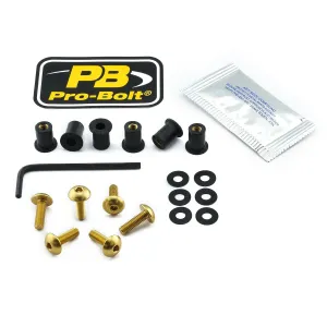 PRO BOLT - BOLT KIT SCREEN GOLD - 23210731