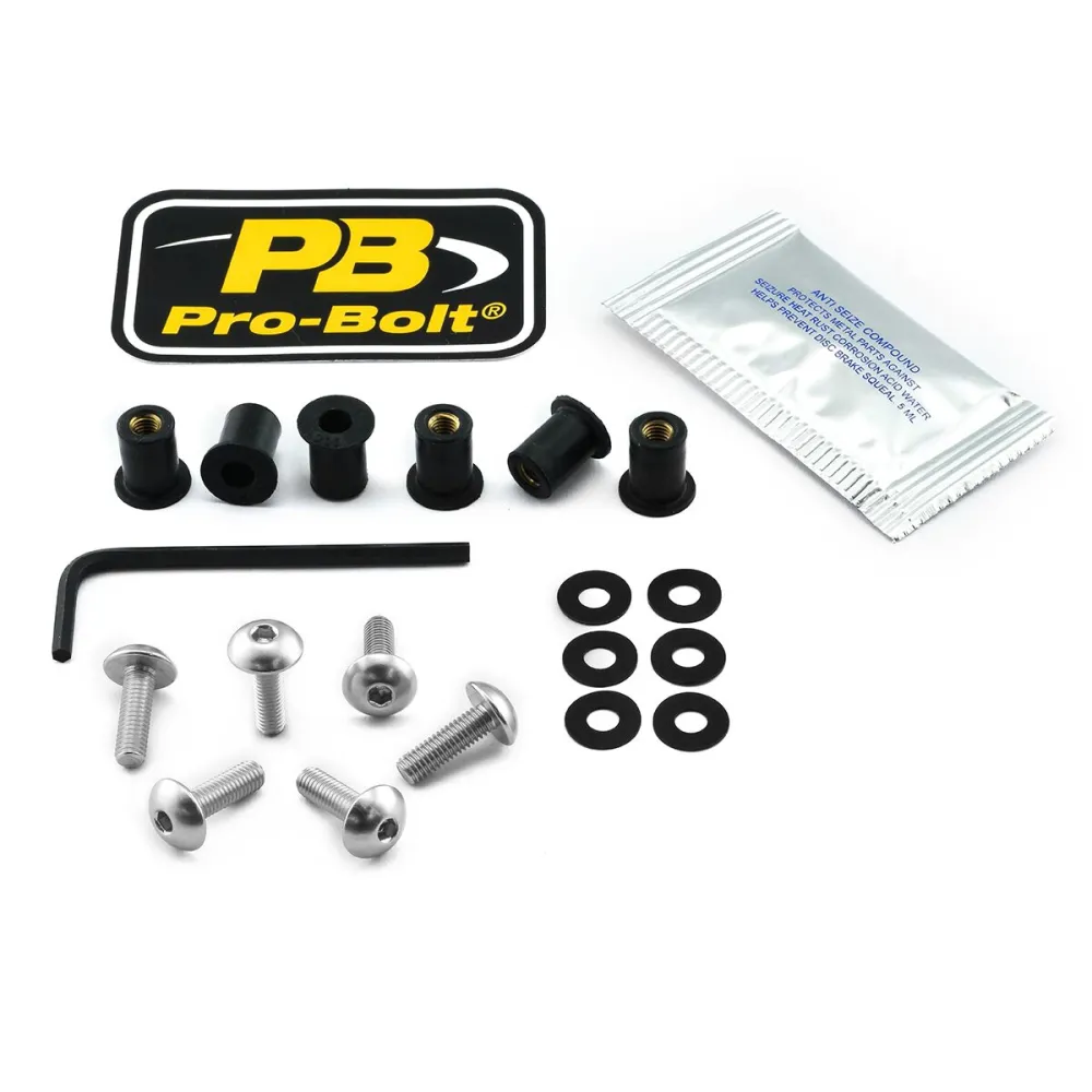 PRO BOLT - BOLT KIT SCREEN SILVER - 23210733