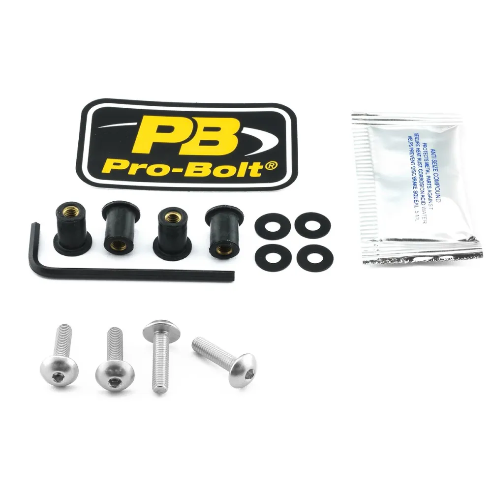 PRO BOLT - BOLT KIT SCREEN SILVER - 23210738