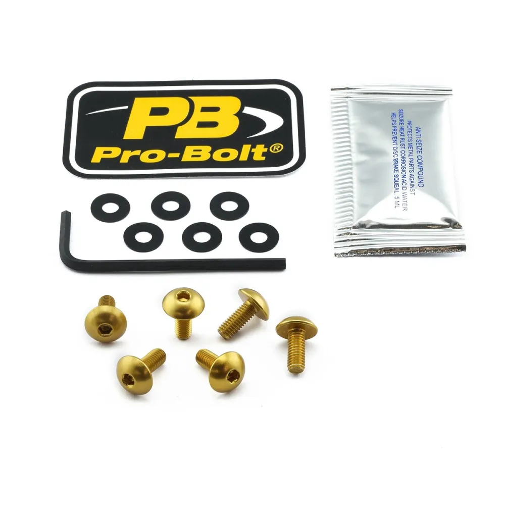 PRO BOLT - BOLT KIT SCREEN GOLD - 23210741
