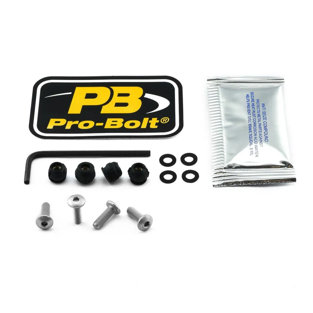 PRO BOLT - BOLT KIT SCREEN SILVER - 23210748