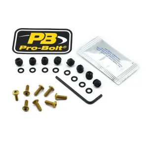 PRO BOLT - BOLT KIT SCREEN GOLD - 23210751