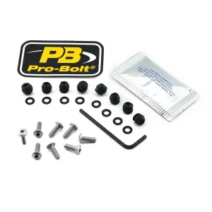 PRO BOLT - BOLT KIT SCREEN SILVER - 23210753