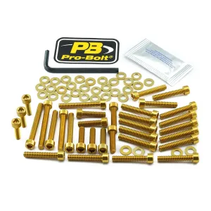 PRO BOLT - BOLT KT ENGINE BMW GOLD - 24011330