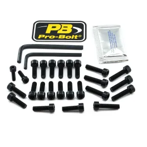 PRO BOLT - BOLT KT ENGINE BMW BLACK - 24011334