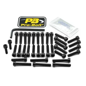 PRO BOLT - BOLT KT ENGINE HON BLACK - 24011349