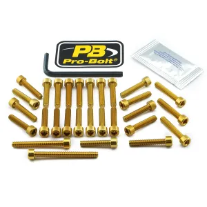 PRO BOLT - BOLT KT ENGINE KAW GOLD - 24011375
