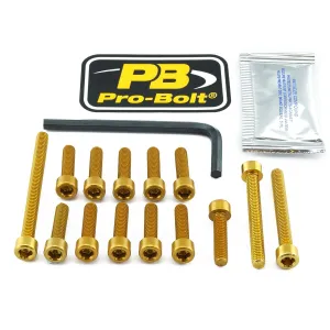 PRO BOLT - BOLT KT ENGINE KAW GOLD - 24011380