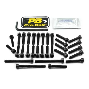PRO BOLT - BOLT KT ENGINE KAW BLACK - 24011384