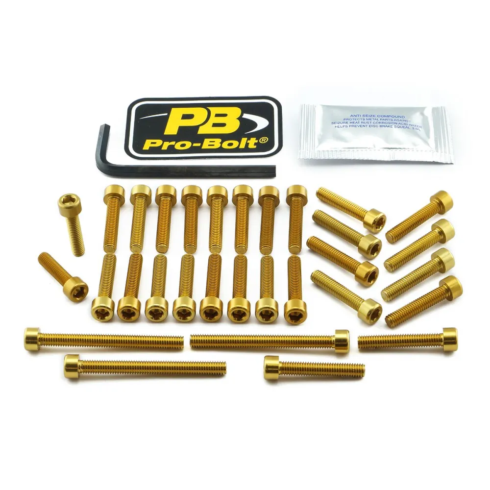 PRO BOLT - BOLT KT ENGINE KAW GOLD - 24011385