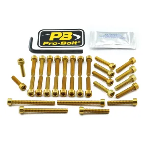 PRO BOLT - BOLT KT ENGINE KAW GOLD - 24011385