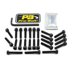PRO BOLT - BOLT KT ENGINE KAW BLACK - 24011394