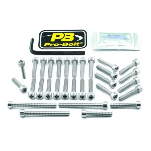 PRO BOLT - BOLT KT ENGINE KAW SILVER - 24011387