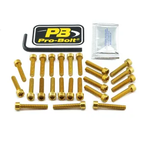 PRO BOLT - BOLT KT ENGINE KAW GOLD - 24011395