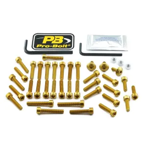 PRO BOLT - BOLT KT ENGINE SUZ GOLD - 24011430